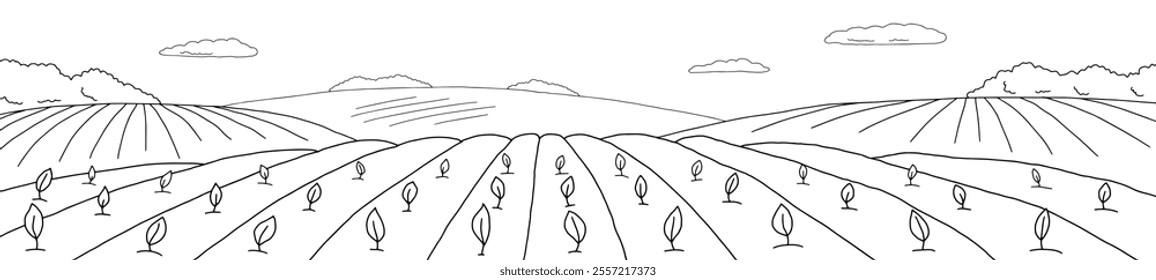 Field graphic black white long landscape sketch illustration vector 