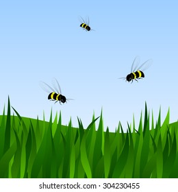 A field with a grass and bees against the blue sky
