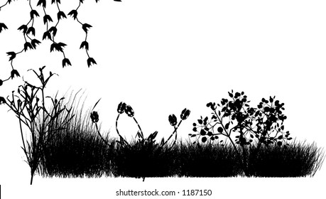 Field Grass and Flowers vector