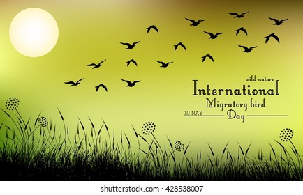 Field of grass and flying birds on night background.Vector