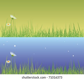 Field grass. Night and evening