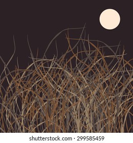 Field of grass in the night with Moon. Vector illustration. Background