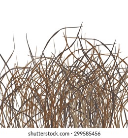 Field of grass on white background. Vector illustration