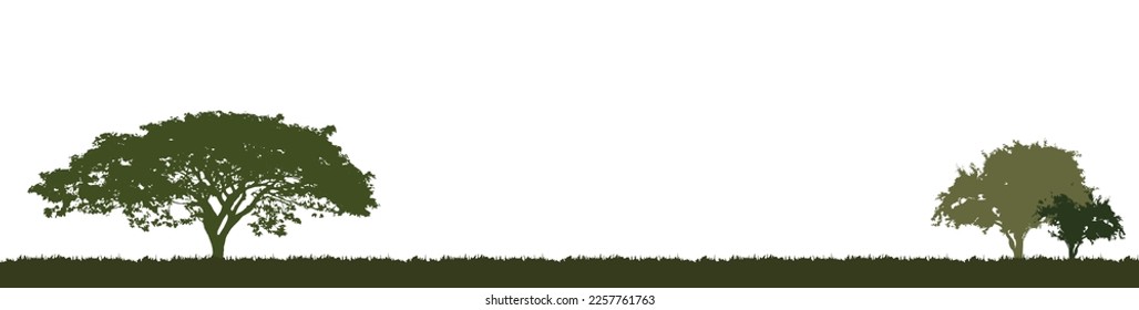 field of grass silhouette trees. Vector illustration of every tree isolated. Evergreen forest side view green shadow, for seamless border, architecture and landscape design drawing.