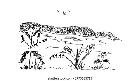 Field, field grass. Sketch Vector illustration.