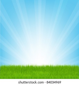 Field of Grass, Vector Illustration