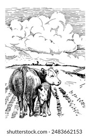 Field of green grass on small hills. Pasture, farm and cow with calf. Rural landscape, panorama of rural pastures. Vector hand drawn vintage engraved sketch.