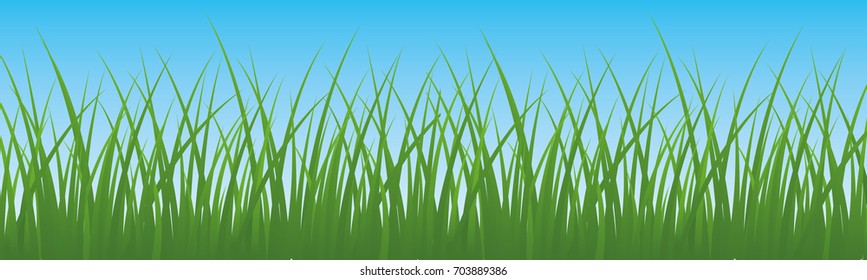 Field, green grass with sky background - vector