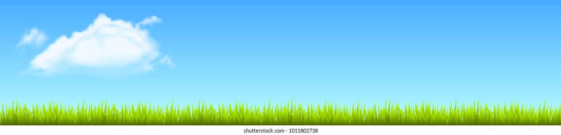 Field, green grass with white cloud - stock vector