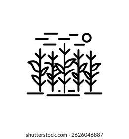 Field of growing corn with tall stalks and green leaves under a sunny sky