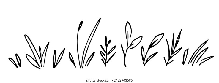 Field herbs, different twigs, stems and leaves, wild plants, blades of grass. Nature and vegetation. Simple hand drawn vector illustration with black outline. Sketch in ink.