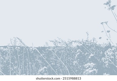 field herbs and flowers, landscape  vector  background