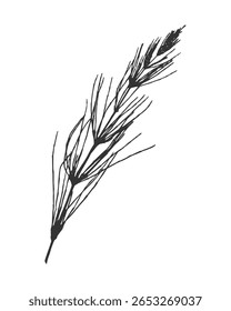Cavalo de campo (Equisetum arvense) ou silhueta de cavalete comum. Impressão de tinta preta no plano de fundo branco. Ilustração vetorial
