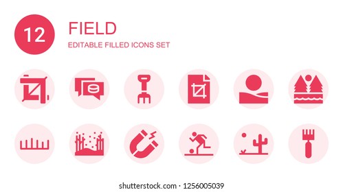 field icon set. Collection of 12 filled field icons included Crop, Puck, Rake, Desert, Grass, Forest, Magnet, Football