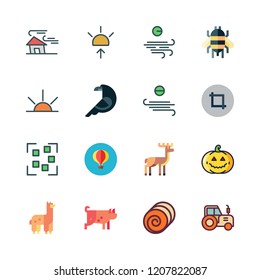 field icon set. vector set about alpaca, hot air balloon, pumpkin and sunrise icons set.