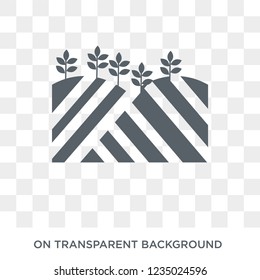 Field icon. Trendy flat vector Field icon on transparent background from nature collection. 