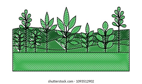 field landscape natural scene