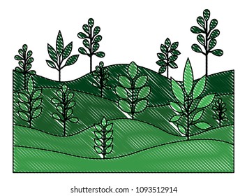 field landscape natural scene