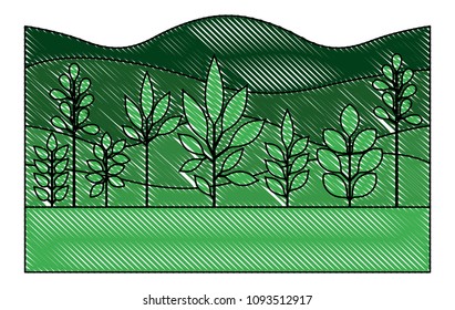 field landscape natural scene