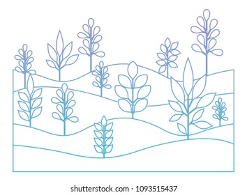 field landscape natural scene