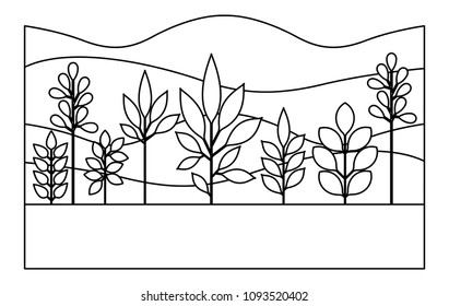 field landscape natural scene