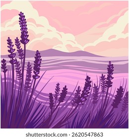 Ilustração vetorial de lavanda de campo. Paisagem lavanda arte.