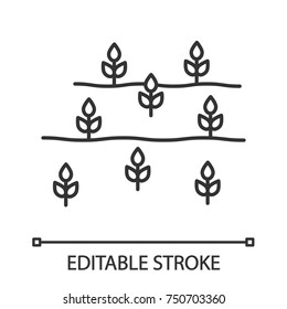 Field linear icon. Seedling. Wheat, corn. Thin line illustration. Contour symbol. Vector isolated outline drawing. Editable stroke