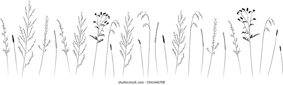 Grasas de campo y pradera, línea de contorno negro. Esbozo de plantas medicinales, dibujo vectorial.