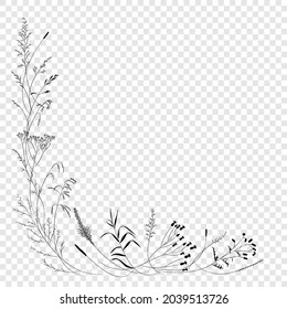 Field and meadow grasses, black contour line. Sketch of medicinal plants, vector drawing.