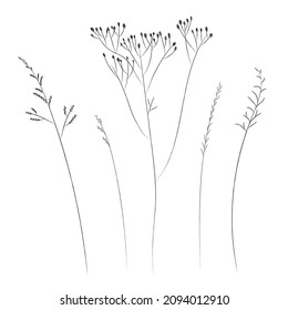 Field and meadow grasses, black contour line. Sketch of medicinal plants, vector drawing.