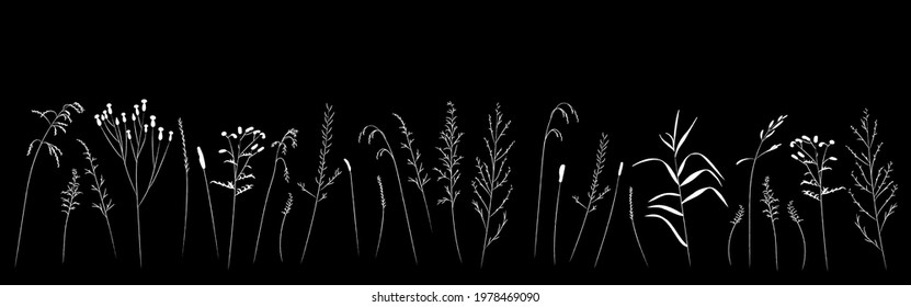 Field and meadow grasses are drawn in a doodle style with a white outline on a black background. Template for splash covers or postcards in nature.