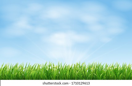 Field or meadow with green spring grass. Realistic horizontal landscape background with blue sky and lawn. Vector illustration.