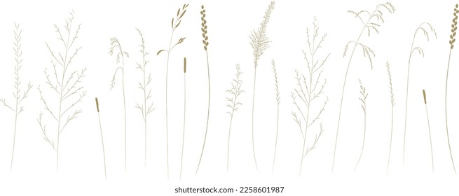 Field and meadow herbs, brown outline, trend sketch for eco design. Sketch of medicinal plants, vector drawing for packaging or textile.