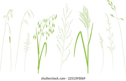 Field and meadow herbs, green outline, trend sketch for eco design. Sketch of medicinal plants, vector drawing for packaging or textile.