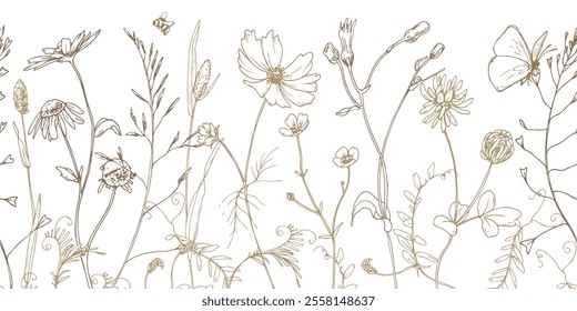 Field, meadow, wild flowers and herbs cosmos, chamomile, clover and insects. Line art is a simple hand-drawn illustration in beige, ochre, brown ink. Seamless border pattern vector EPS