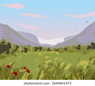 field in the mountains Alps, Provence, forest mountains space spring summer ecology landscape background for staging a stage banner for a corporate party poppies herbs of Provence