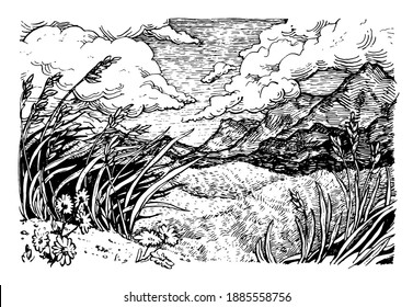 Field, mountains and grass in the foreground. Windy weather. Summer landscape. Black and white hand drawn illustration