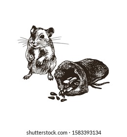 Field Mouse or Rat Character Standing Beside the Grain Sack Isolated on White Background Vector Illustration. Fluffy Sketched Rodent Drawing Concept