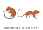 Field Mouse as Small Rodent with Long Tail and Dorsal Black Stripe Vector Set