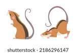 Field Mouse as Small Rodent with Long Tail and Dorsal Black Stripe Vector Set
