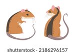 Field Mouse as Small Rodent with Long Tail and Dorsal Black Stripe Sitting Vector Set