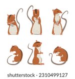 Field Mouse as Small Rodent with Long Tail and Dorsal Black Stripe Vector Set