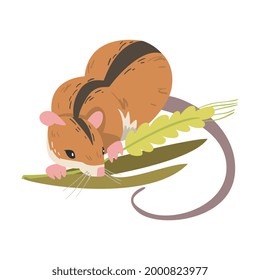 Field Mouse as Small Rodent with Long Tail and Dorsal Black Stripe Vector Illustration
