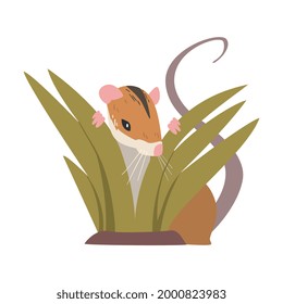 Field Mouse as Small Rodent with Long Tail and Dorsal Black Stripe Vector Illustration