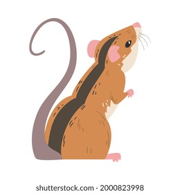 Field Mouse as Small Rodent with Long Tail and Dorsal Black Stripe Vector Illustration