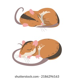 Field Mouse as Small Rodent with Long Tail and Dorsal Black Stripe Cuddling and Sleeping Vector Set