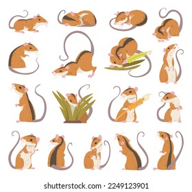 Field Mouse as Small Rodent with Long Tail and Dorsal Black Stripe Big Vector Set