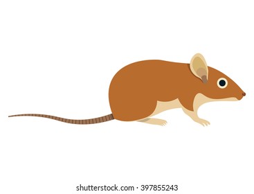 Field mouse vector illustration  isolated on white background.