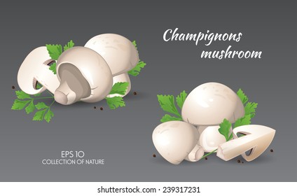 Field mushroom. Champignons. Agaricus campestris with parsley. Food and cooking collection. Vector illustration set of natural products