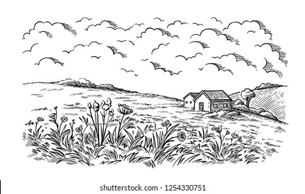 field near the village houses in the background and flowers vector illustration